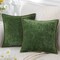2 Pieces Chenille Soft Throw Pillow Covers 18x18 inc , Spring Farmhouse Velvet Pillow Covers, Decorative Square Pillow Covers with Stitched Edge for Couch Sofa Bed, Forest Elf